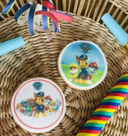 Thème Pat Patrouille